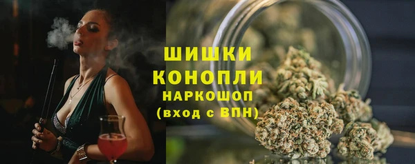 спайс Арсеньев
