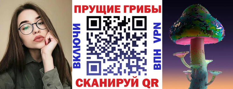 Галлюциногенные грибы Psilocybe  Бабушкин 