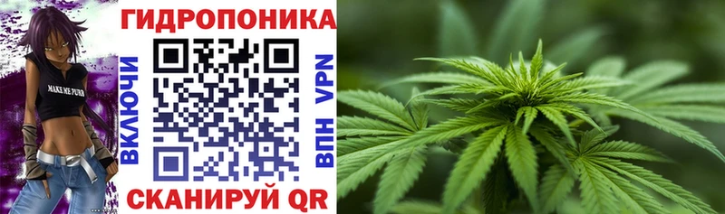 Канабис планчик  Бабушкин 
